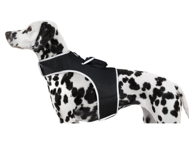 iTrackPET GPS Pet Tracking Harness