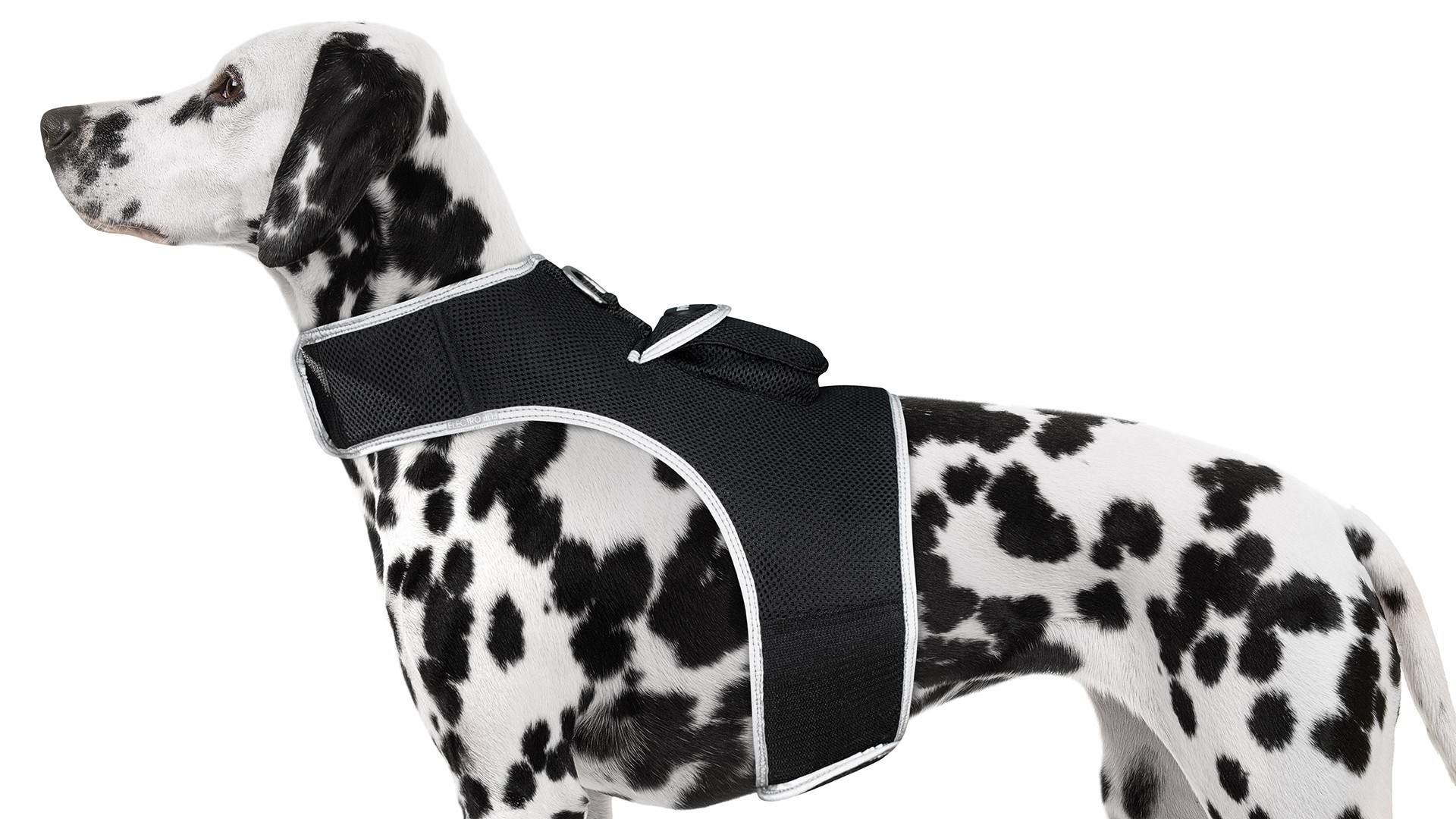 iTrackPET - GPS Pet Tracking Harness-5