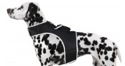 iTrackPET - GPS Pet Tracking Harness