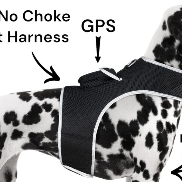 iTrackPET - GPS + Harness (size XL)