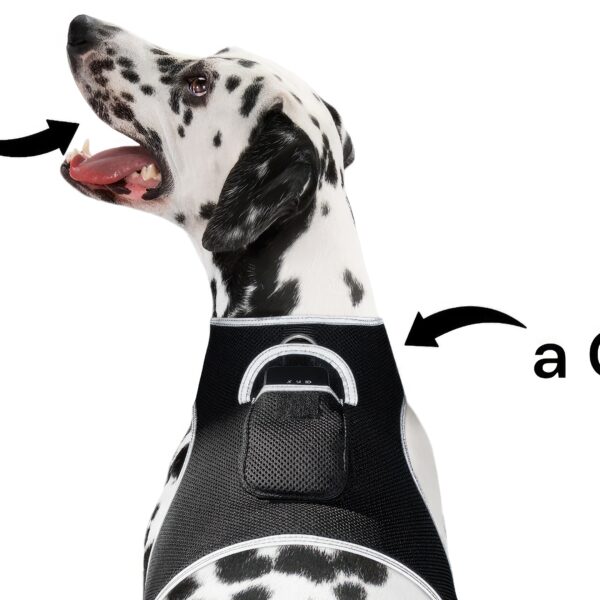 iTrackPET - GPS + Harness (size XXL)