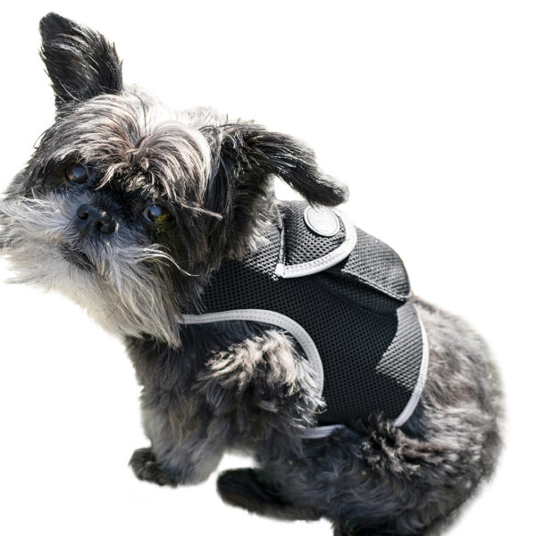 iTrackPET - GPS + Harness (size M)