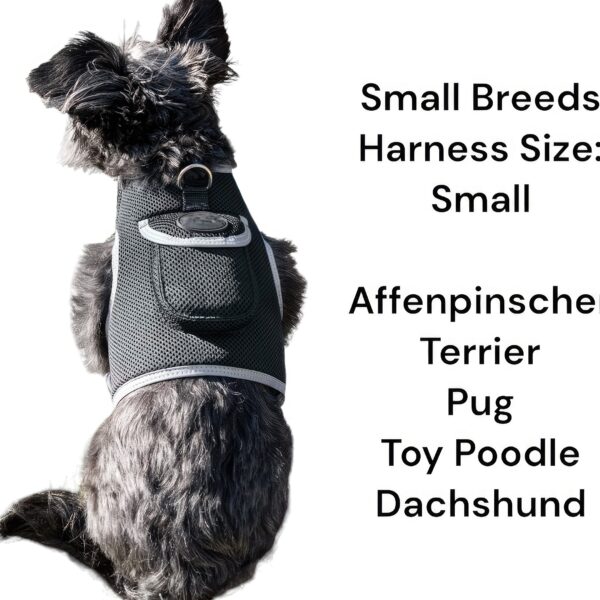 iTrackPET - GPS + Harness (size S)