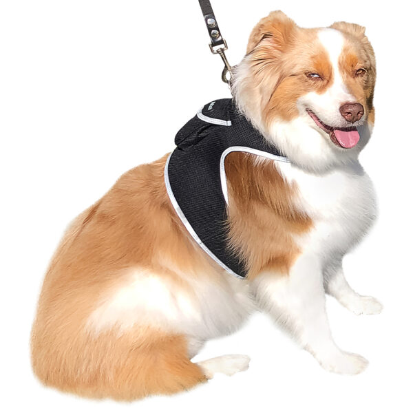 iTrackPET - GPS + Harness (size L)